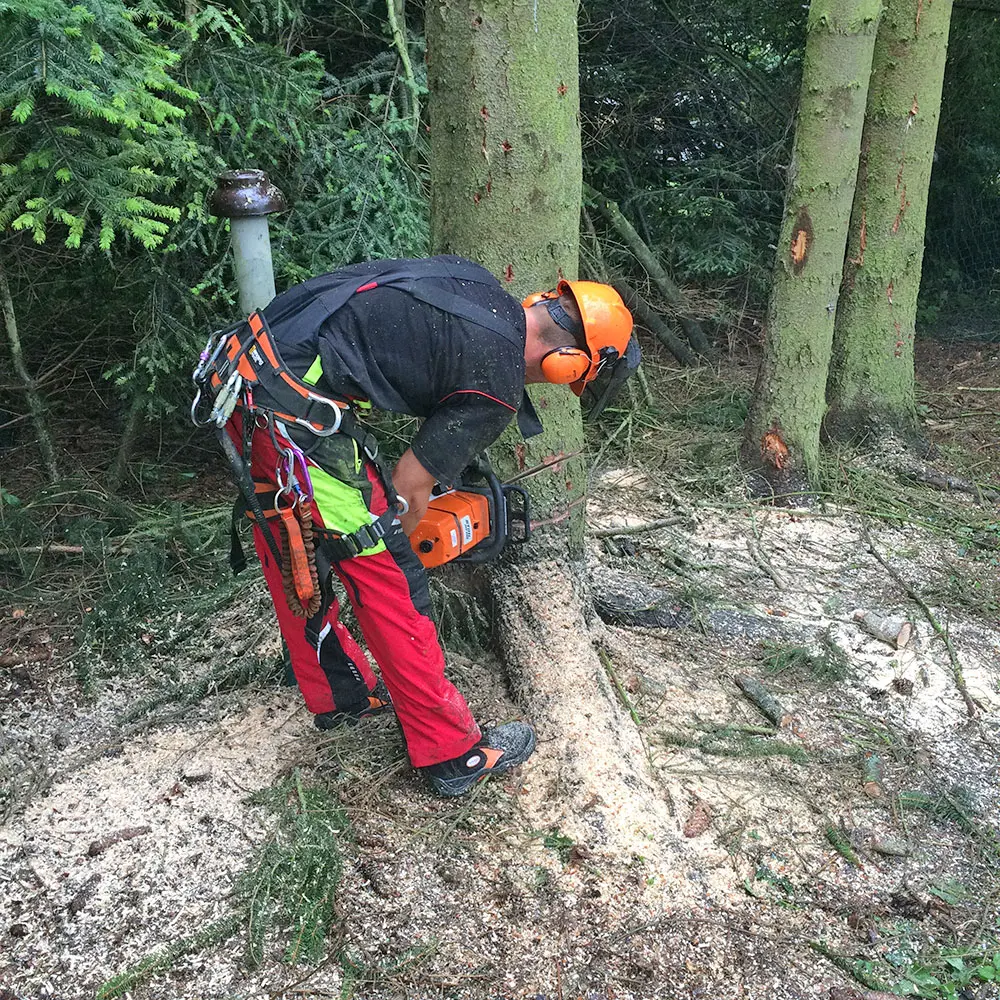 Baumpflege & Baumfällung in Kronach, Kulmbach, Lichtenfels Mann beim Baum fällen