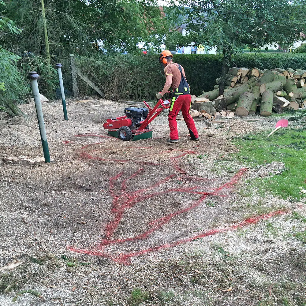 Baumpflege & Baumfällung in Kronach, Kulmbach, Lichtenfels Mann mit Stubbenfräse