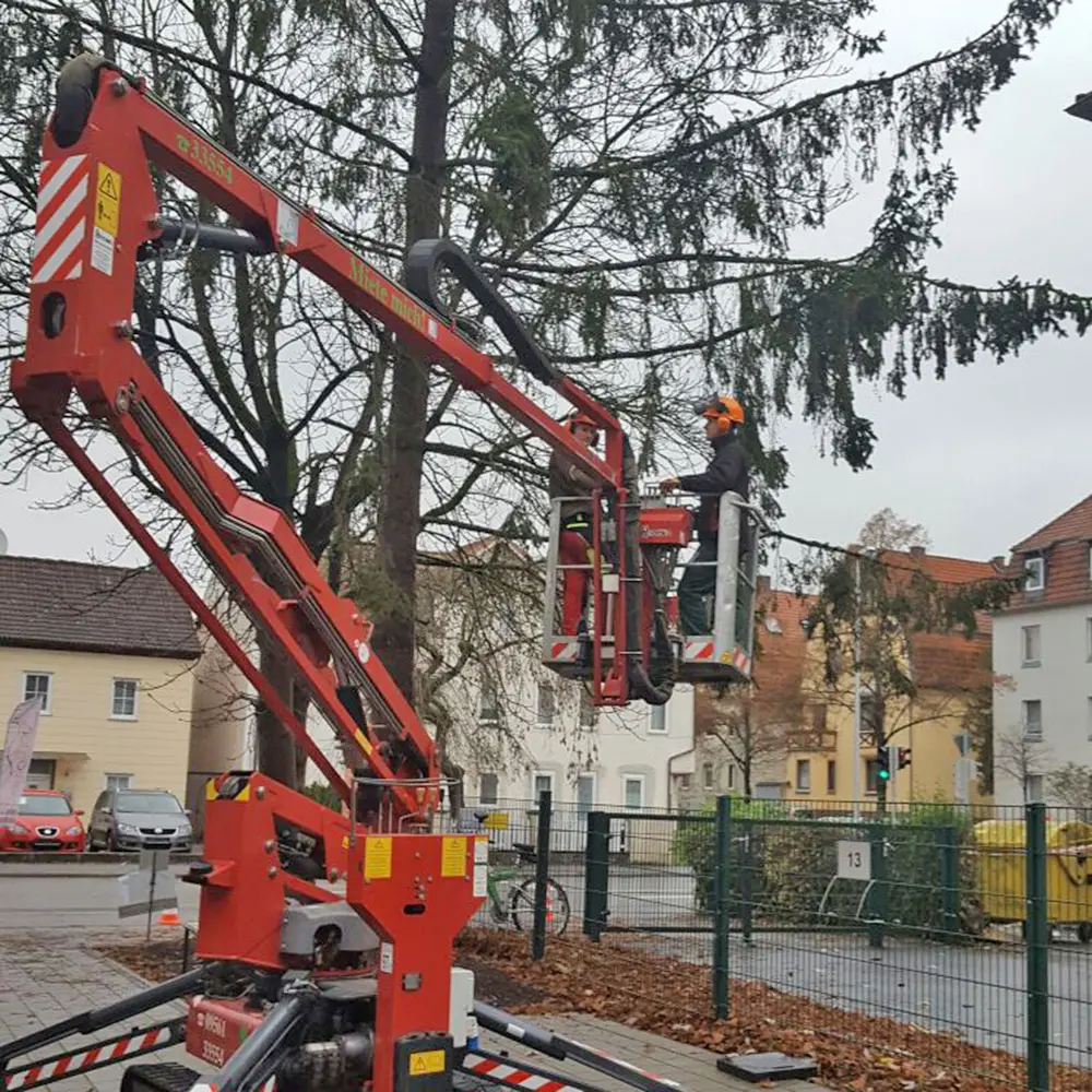 Baumpflege & Baumfällung in Kronach, Kulmbach, Lichtenfels Mann in Arbeitsbühne