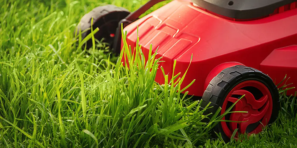 Hausmeisterservice Lichtenfels - Grünanlagenpflege - Rasenmäher