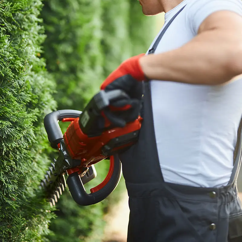 Hausmeisterservice Sonneberg - Hecke schneiden