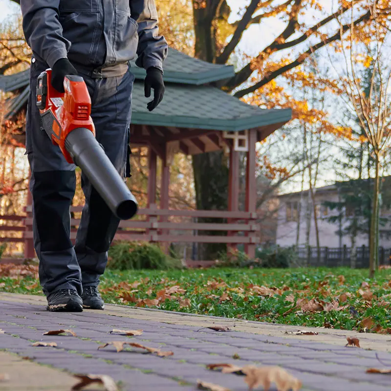 Hausmeisterservice Sonneberg - Laub entfernen