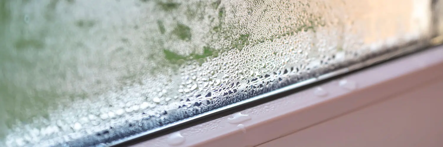 Richtig lüften im Winter - Kondenswasser am Fenster