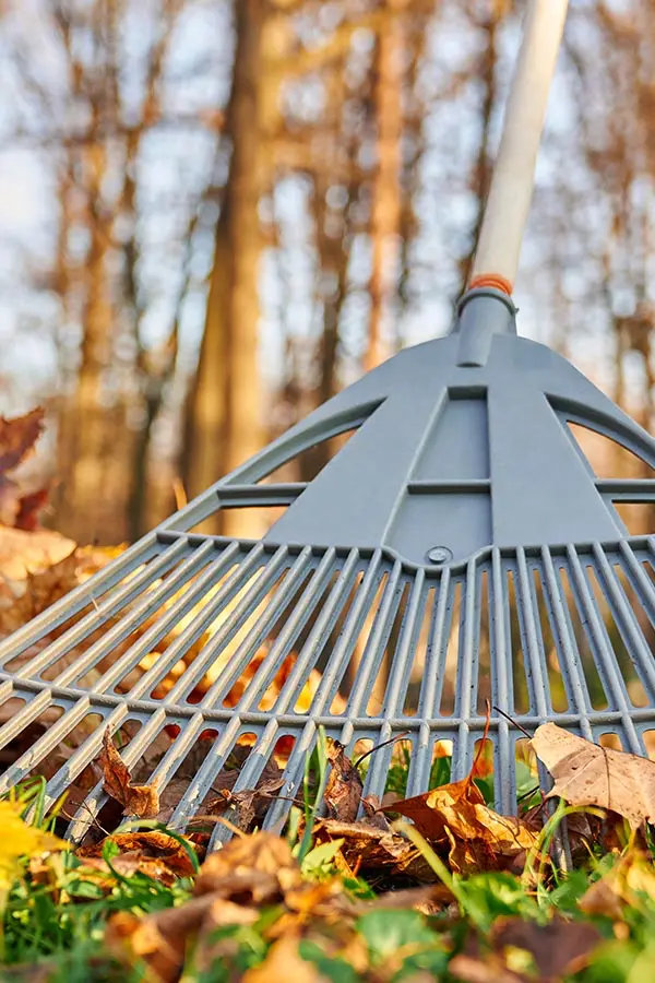 Rechen zum Laub entfernen - Gartenpflege Lichtenfels